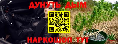 марихуана Будённовск