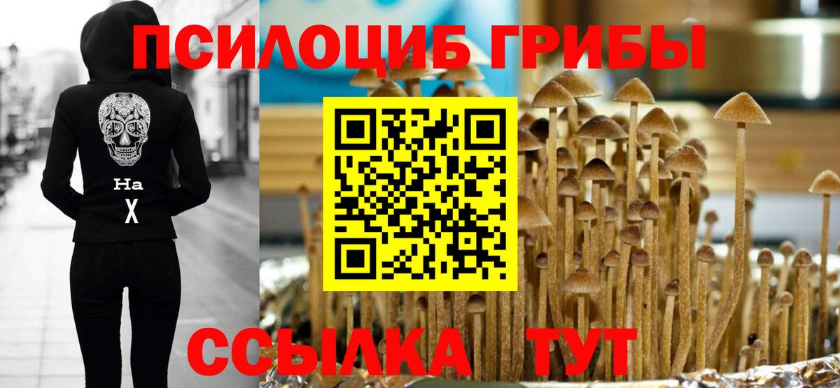 Саки  Псилоцибиновые грибы Magic Shrooms  Вход с VPN 